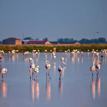Begonie Bellissima Dotata Di Ogni Confort Casa de Férias